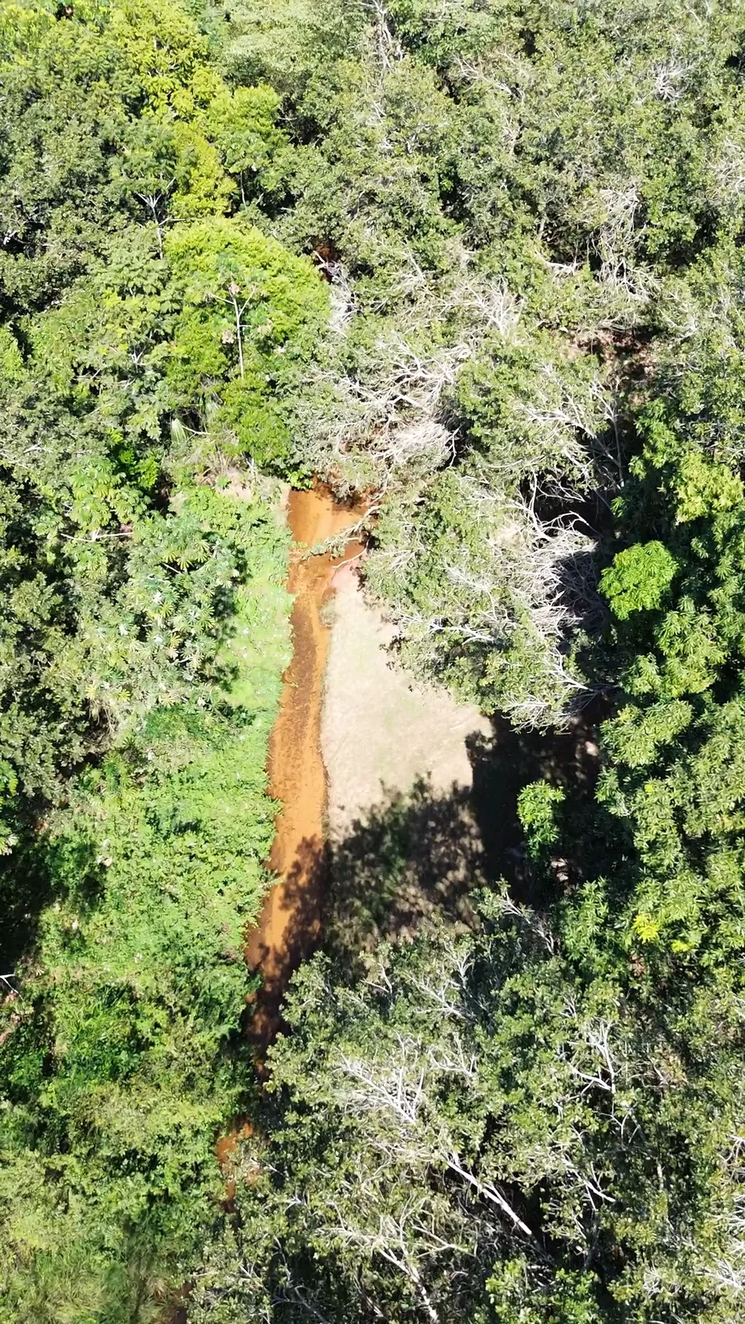 Moradores se mobilizam para salvar o Rio Água Fria e alertam para risco de desaparecimento